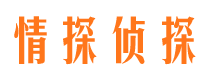 汤旺河侦探